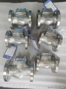 <b>成长为国内高端阀门领域的领军企业</b>