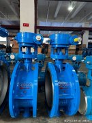 与上海奇众阀门形成优势互补