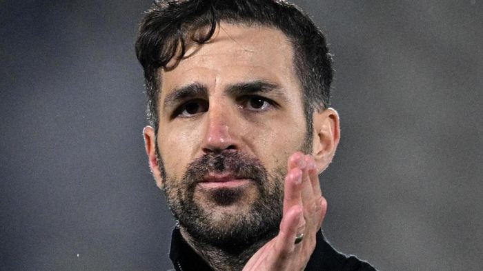 法布雷加斯获意大利贝阿尔佐特国家奖 成首位外