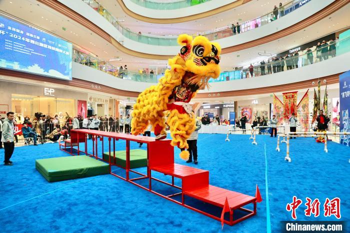 西北传统南狮争霸：以赛事为媒推动文体旅融合